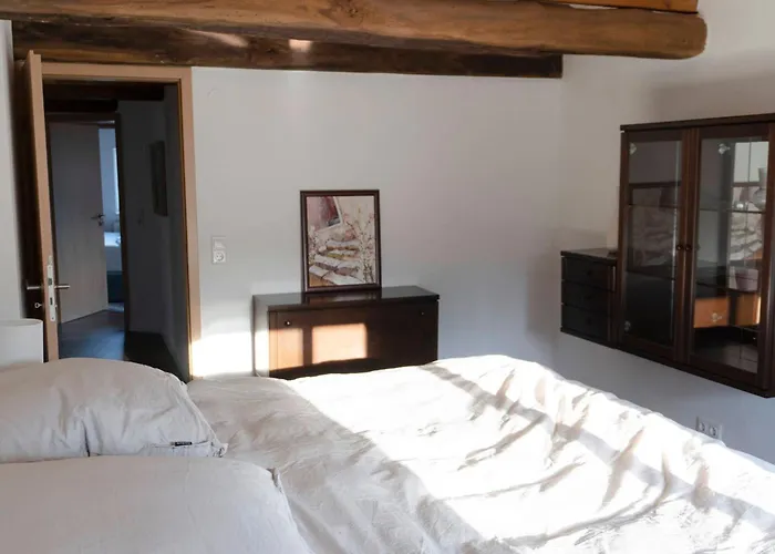 Design Cosy דטמולד